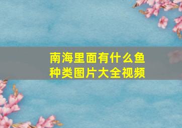 南海里面有什么鱼种类图片大全视频