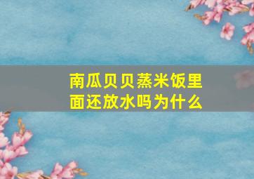 南瓜贝贝蒸米饭里面还放水吗为什么