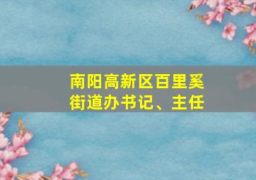 南阳高新区百里奚街道办书记、主任