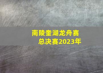 南陵奎湖龙舟赛总决赛2023年