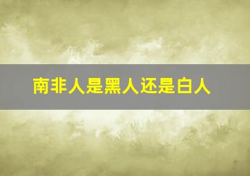 南非人是黑人还是白人