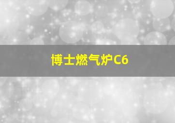 博士燃气炉C6