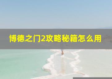 博德之门2攻略秘籍怎么用