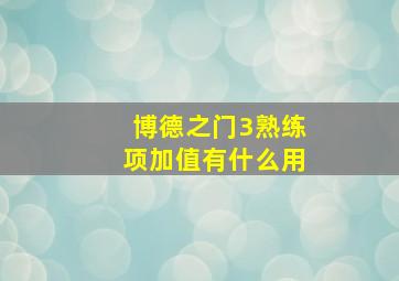 博德之门3熟练项加值有什么用