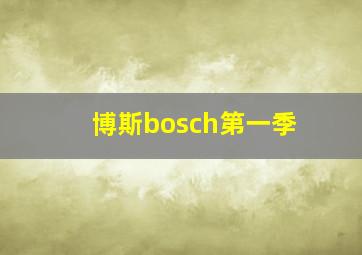 博斯bosch第一季