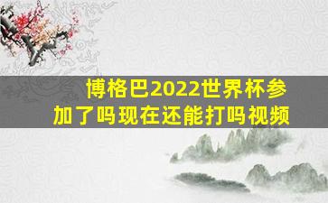 博格巴2022世界杯参加了吗现在还能打吗视频