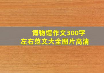 博物馆作文300字左右范文大全图片高清