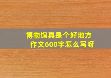 博物馆真是个好地方作文600字怎么写呀