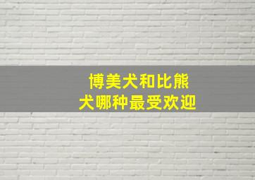 博美犬和比熊犬哪种最受欢迎