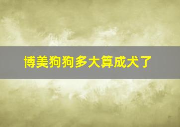 博美狗狗多大算成犬了