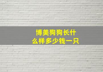 博美狗狗长什么样多少钱一只