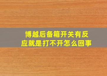 博越后备箱开关有反应就是打不开怎么回事