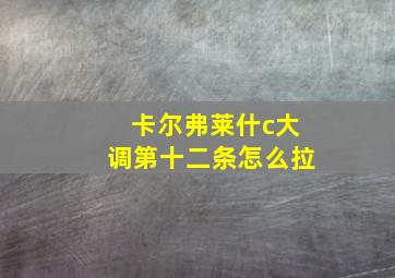 卡尔弗莱什c大调第十二条怎么拉