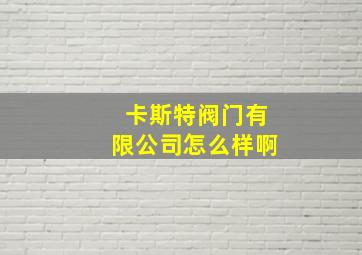 卡斯特阀门有限公司怎么样啊