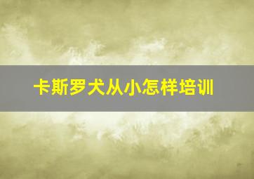 卡斯罗犬从小怎样培训