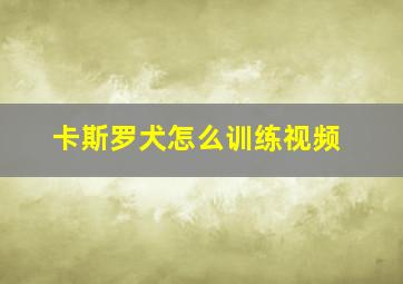 卡斯罗犬怎么训练视频