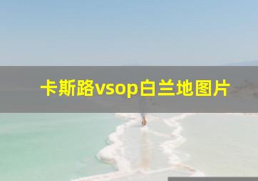 卡斯路vsop白兰地图片