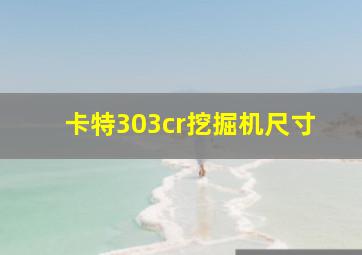 卡特303cr挖掘机尺寸