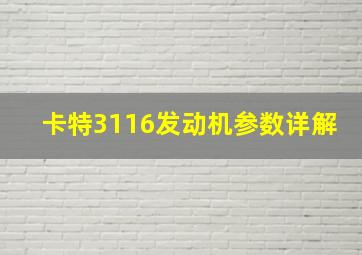 卡特3116发动机参数详解