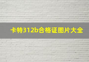 卡特312b合格证图片大全