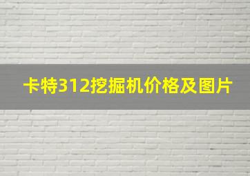 卡特312挖掘机价格及图片