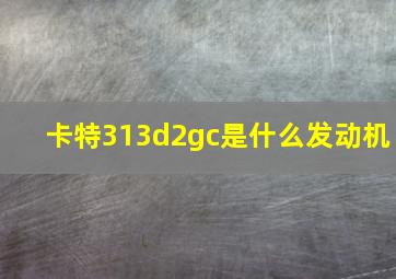 卡特313d2gc是什么发动机