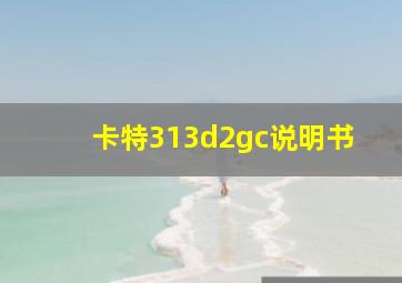 卡特313d2gc说明书