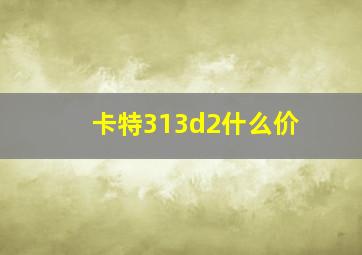 卡特313d2什么价