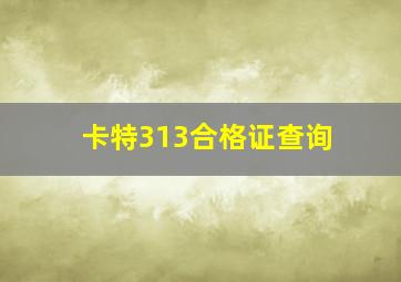 卡特313合格证查询