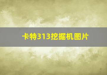 卡特313挖掘机图片