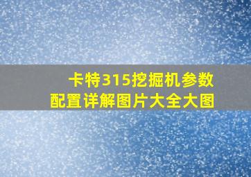 卡特315挖掘机参数配置详解图片大全大图