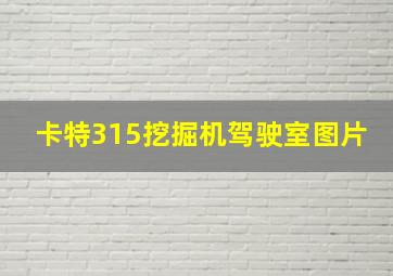 卡特315挖掘机驾驶室图片