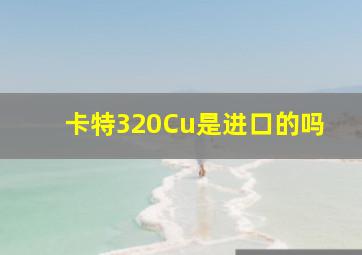 卡特320Cu是进口的吗