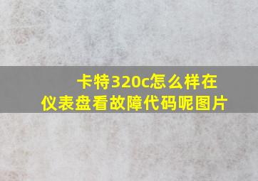 卡特320c怎么样在仪表盘看故障代码呢图片