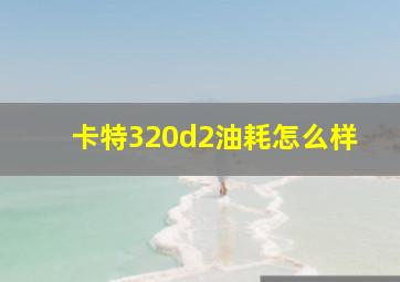 卡特320d2油耗怎么样