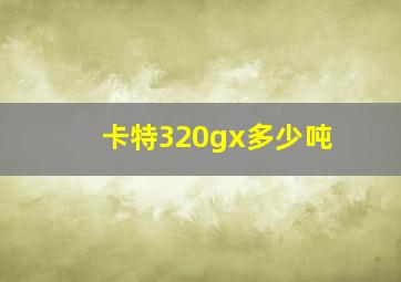 卡特320gx多少吨