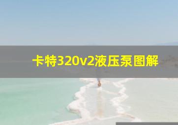 卡特320v2液压泵图解