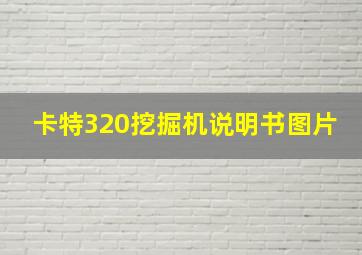 卡特320挖掘机说明书图片