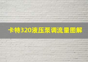 卡特320液压泵调流量图解