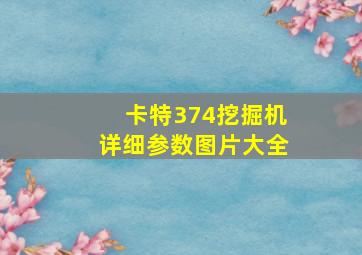 卡特374挖掘机详细参数图片大全