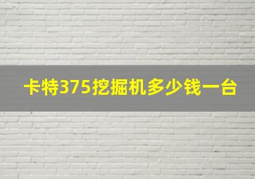 卡特375挖掘机多少钱一台