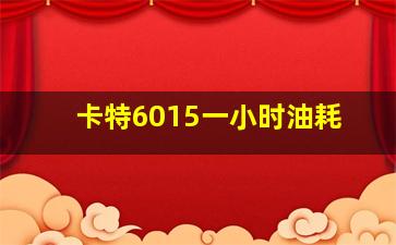 卡特6015一小时油耗