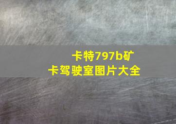 卡特797b矿卡驾驶室图片大全