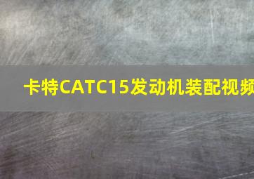 卡特CATC15发动机装配视频