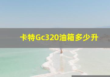 卡特Gc320油箱多少升