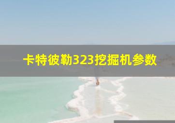 卡特彼勒323挖掘机参数