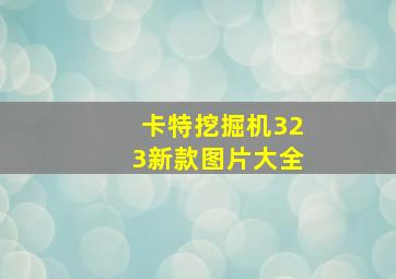 卡特挖掘机323新款图片大全