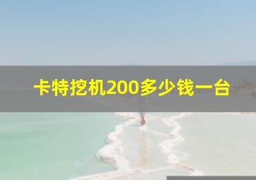 卡特挖机200多少钱一台