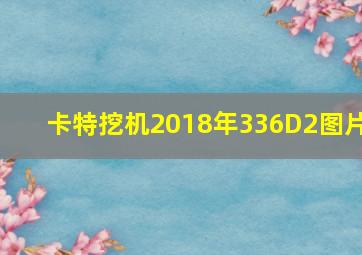 卡特挖机2018年336D2图片