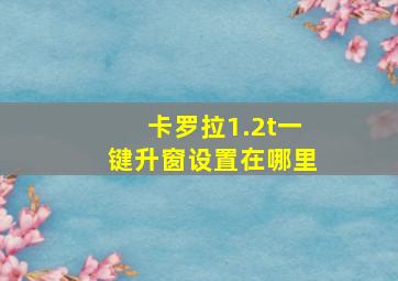 卡罗拉1.2t一键升窗设置在哪里